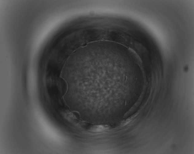 X0000093530239200710191400