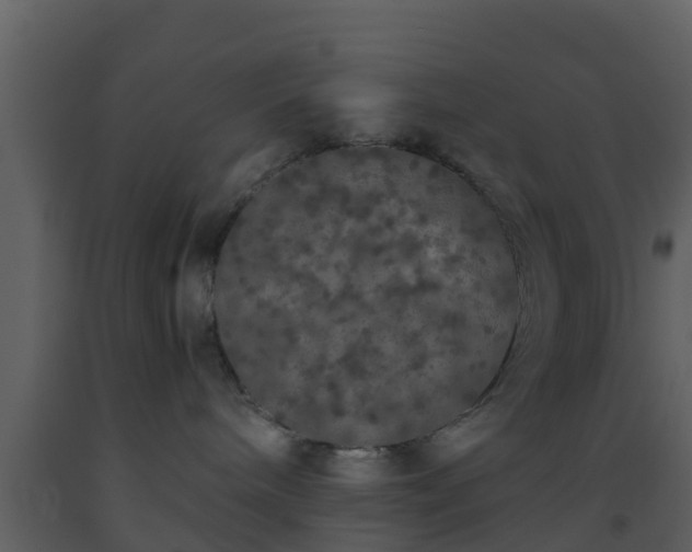 X0000093530240200710191400