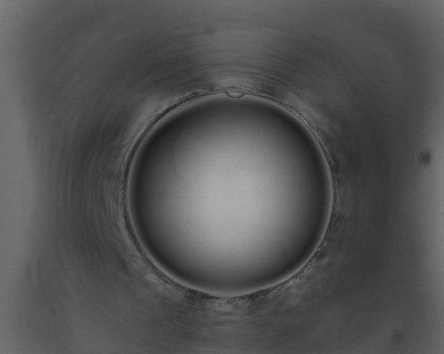 X0000093530241200710191359