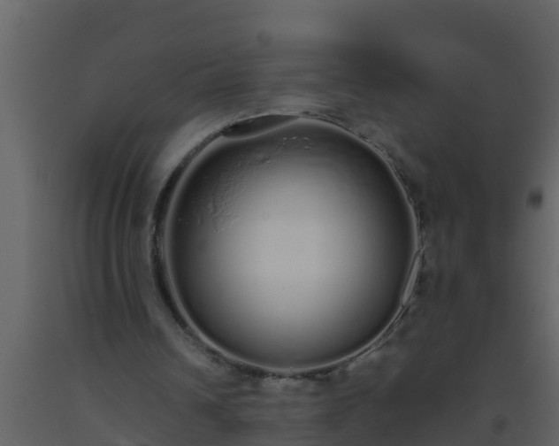 X0000093530242200710191359