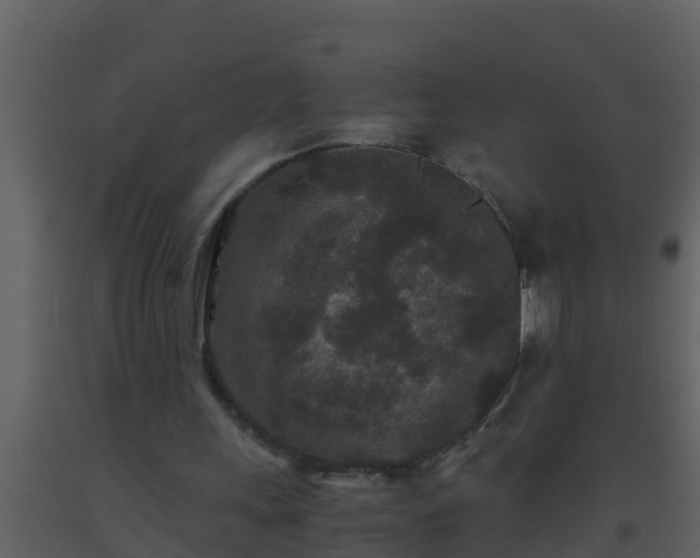 X0000093530243200710191359