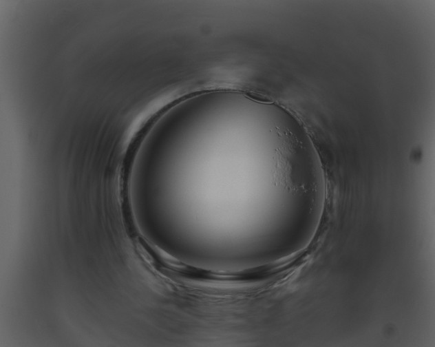 X0000093530244200710191359