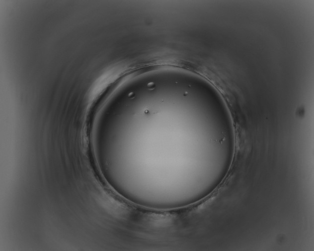 X0000093530245200710191359