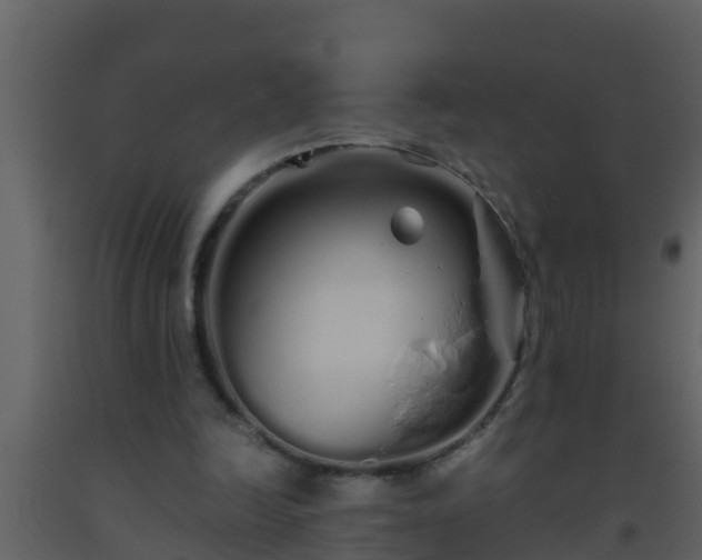 X0000093530246200710191359