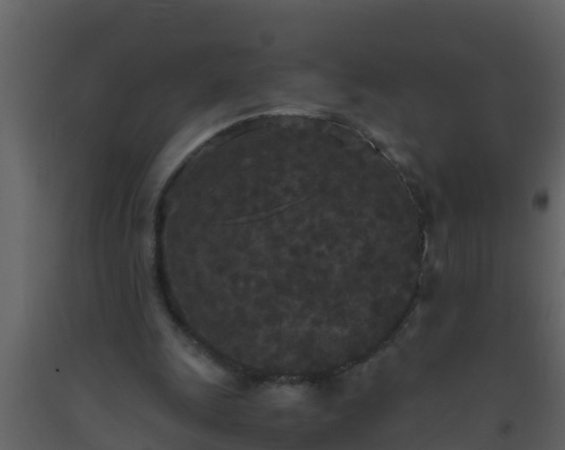 X0000093530247200710191359