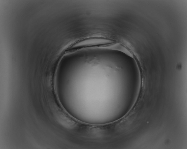 X0000093530249200710191359