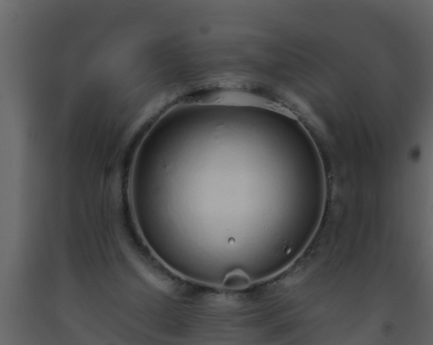 X0000093530250200710191359