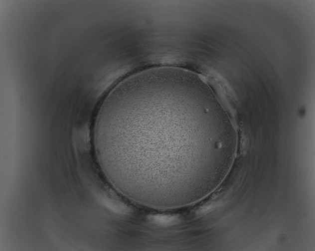 X0000093530251200710191359