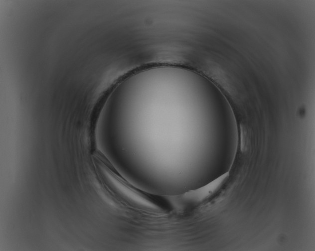 X0000093530252200710191359