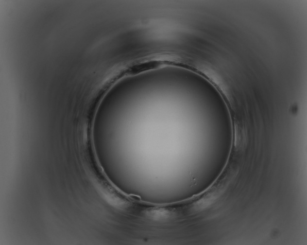 X0000093530253200710191359