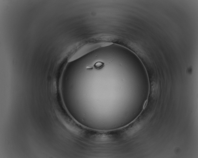 X0000093530254200710191359