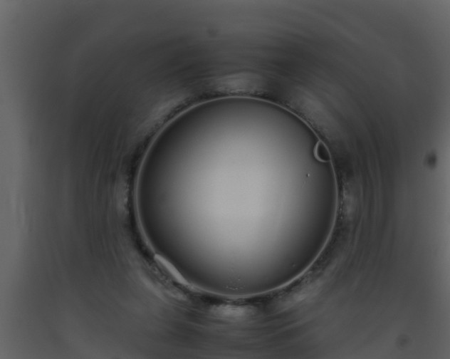 X0000093530255200710191359