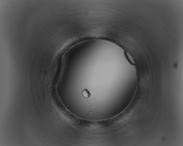 X0000093530256200710191359