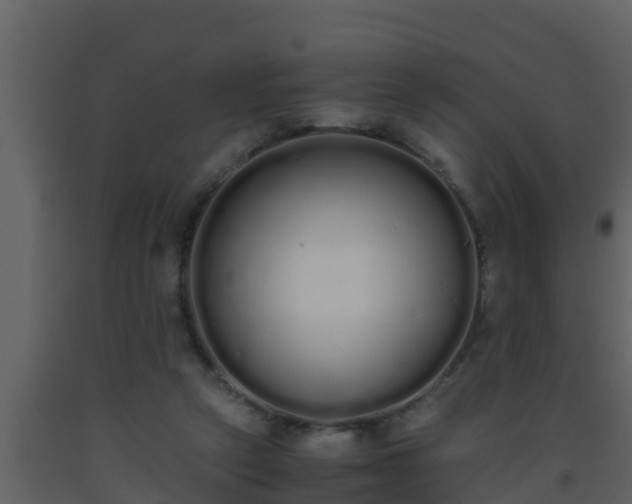 X0000093530257200710191359