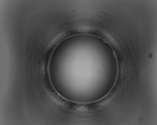 X0000093530258200710191359