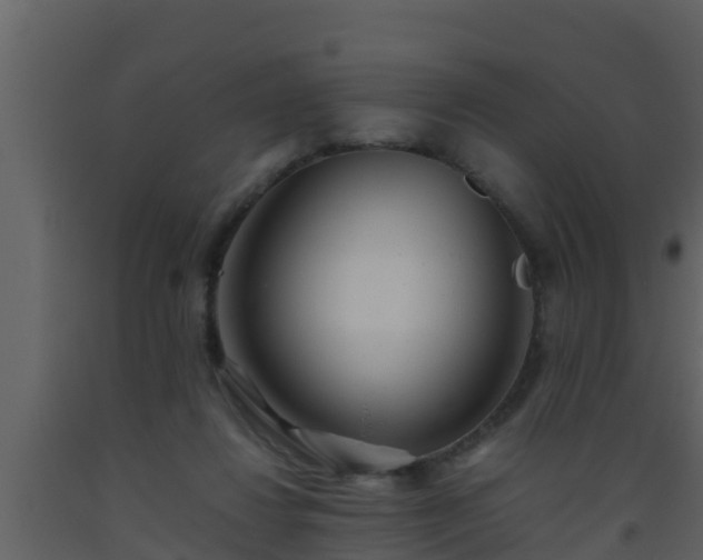 X0000093530260200710191359