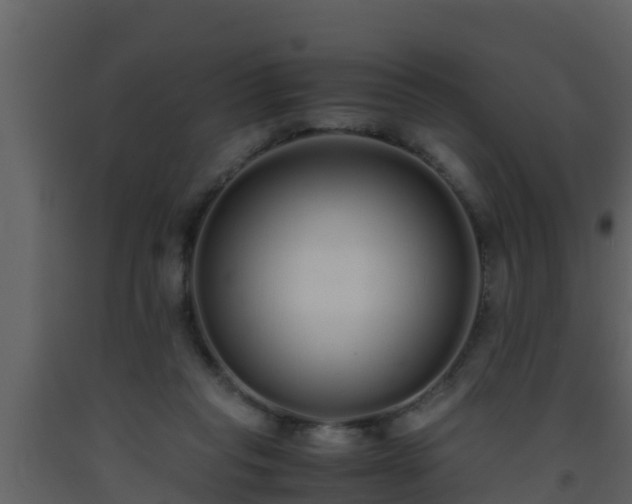 X0000093530261200710191359