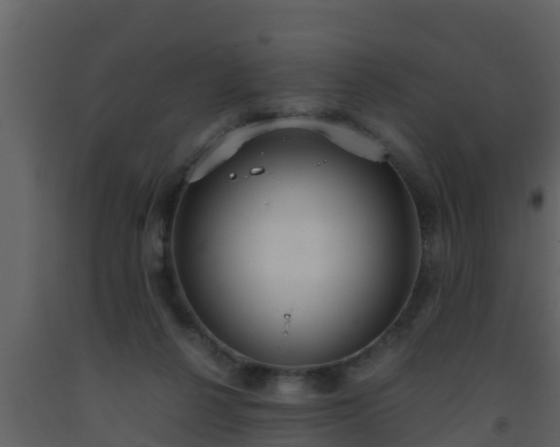 X0000093530264200710191359