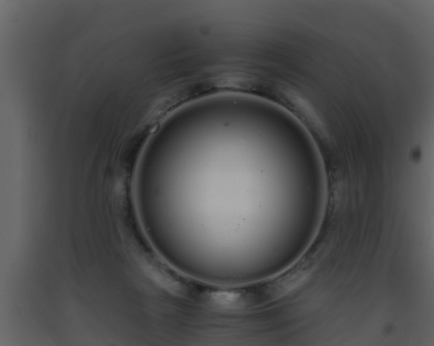 X0000093530265200710191359