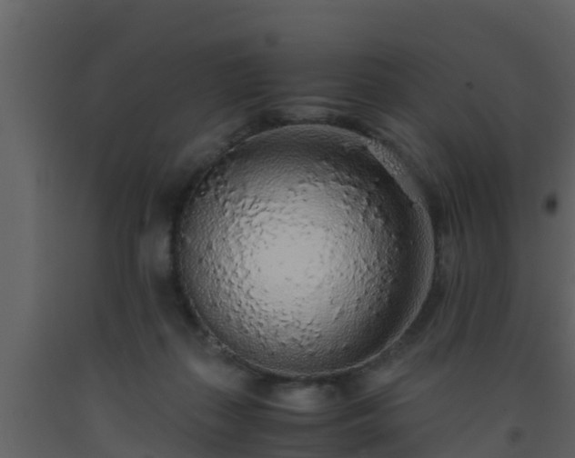 X0000093530267200710191359