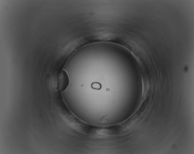 X0000093530268200710191359