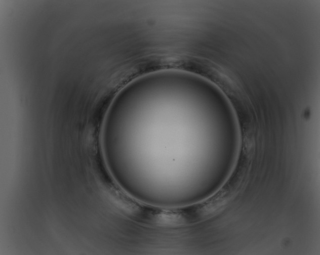 X0000093530270200710191359