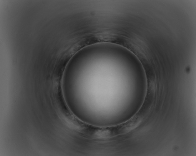 X0000093530271200710191359