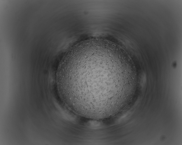 X0000093530272200710191359