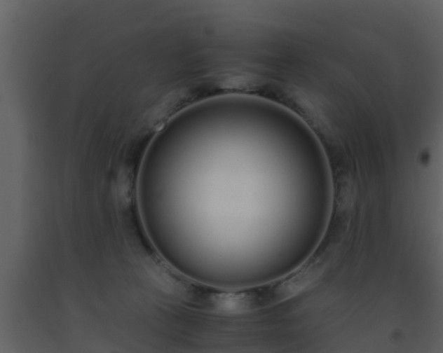 X0000093530273200710191359