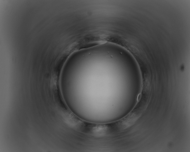 X0000093530274200710191359