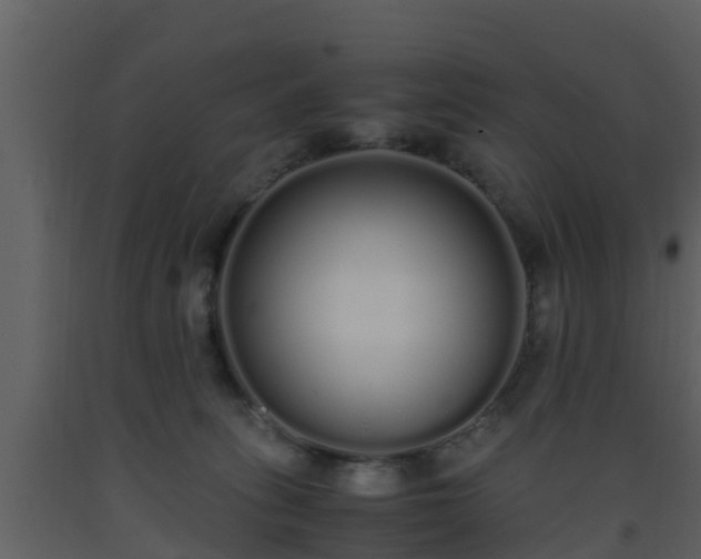 X0000093530275200710191359