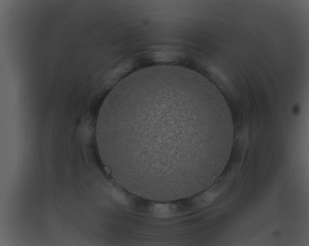 X0000093530277200710191359