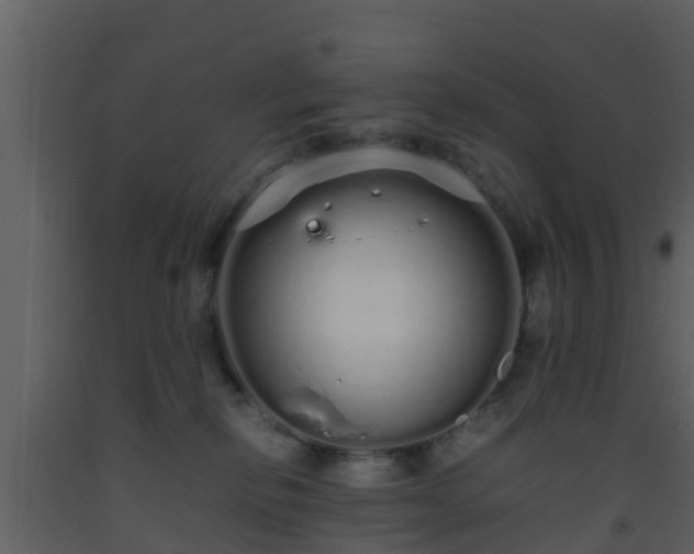 X0000093530278200710191359