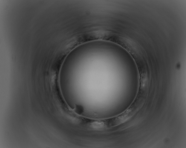 X0000093530279200710191359