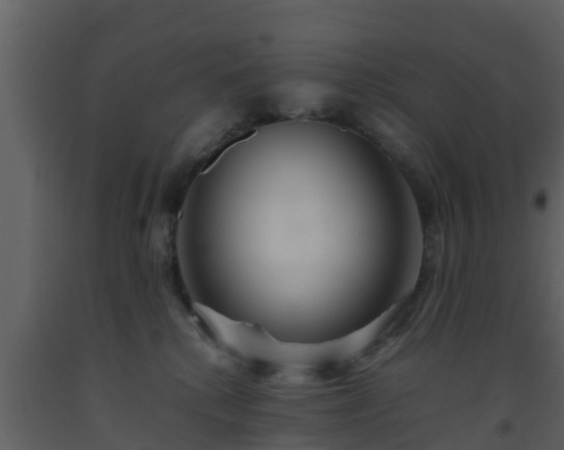 X0000093530280200710191400