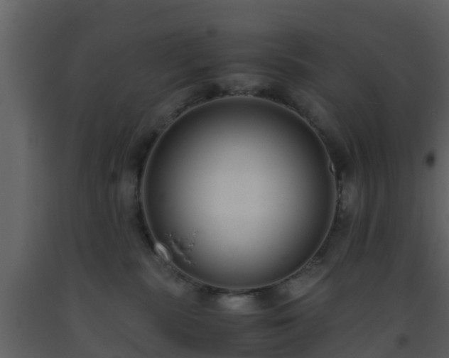 X0000093530283200710191400