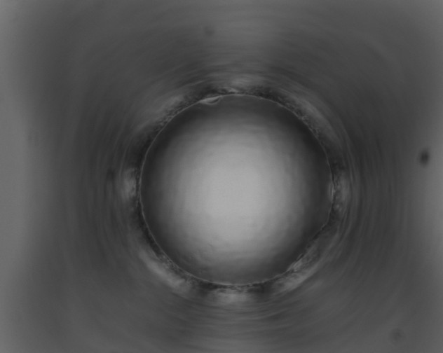 X0000093530284200710191400