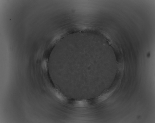 X0000093530286200710191400