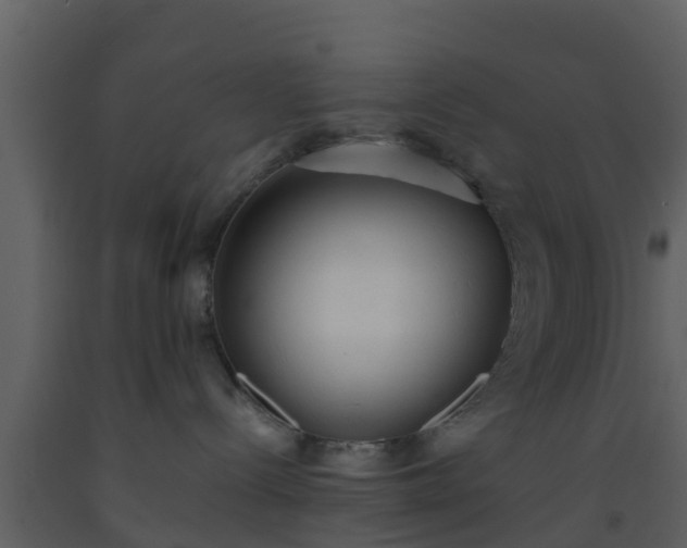 X0000093530288200710191400