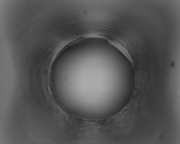 X0000093530289200710191359