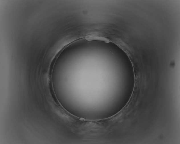 X0000093530290200710191359