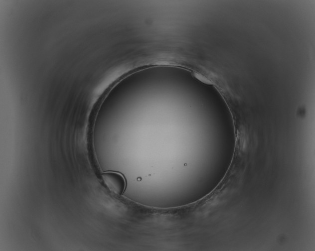 X0000093530292200710191359