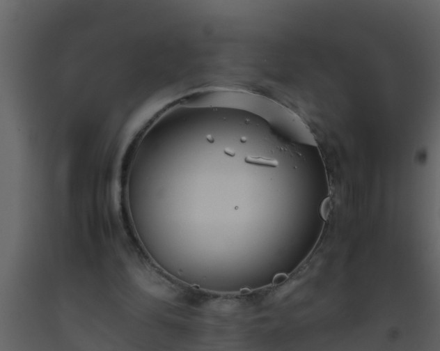 X0000093530294200710191359