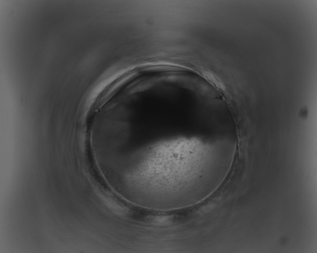 X0000093530295200710191359