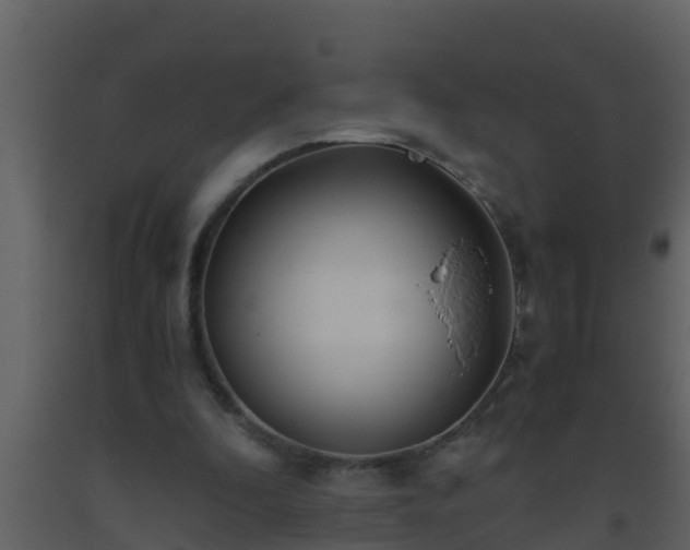 X0000093530296200710191359