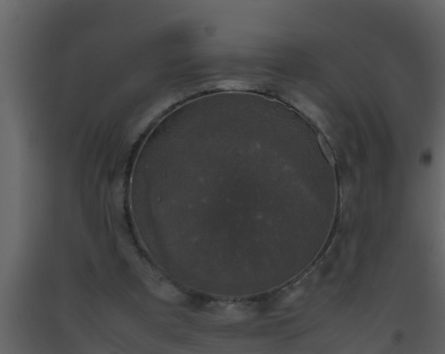 X0000093530297200710191359