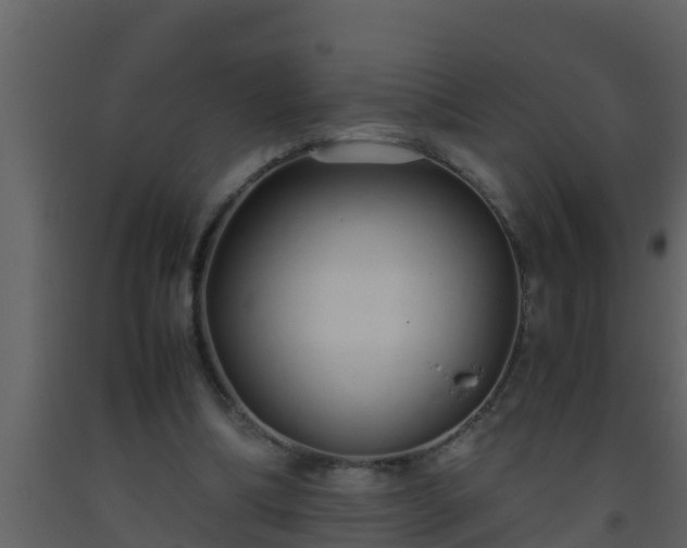 X0000093530298200710191359