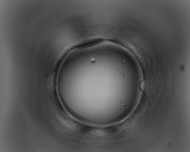 X0000093530299200710191359