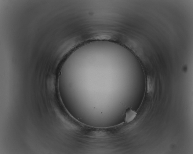 X0000093530300200710191359