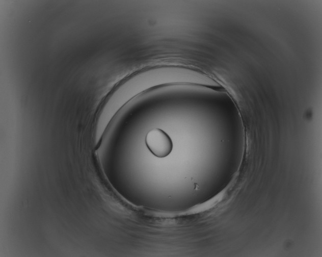 X0000093530301200710191359